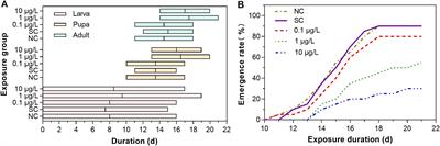 Long-term exposure to environmental concentration of dinotefuran disrupts ecdysis and sex ratio by dysregulating related gene expressions in Chironomus kiinensis